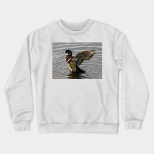 Wood Duck Drake Showing Off Crewneck Sweatshirt